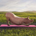 V-Face Asks Meat-Eaters to Give Animals a Break in First Ever Ad Campaign