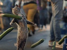 Strutting Cat is Walking Tall in Vanquis Bank Campaign
