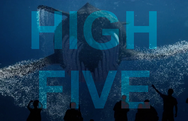 High Five: New Zealand