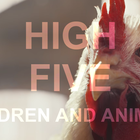 High Five: Only Work with Children or Animals
