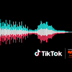 TikTok Sonic Identity by MassiveMusic Outperforms Industry Benchmarks
