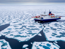 Arctic Drift: Breathtaking Beauty & Critical Danger In A Year On the Ice