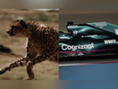 Brazilian TV Network Band's Action Fuelled Spot Shows Formula 1 at its Finest  