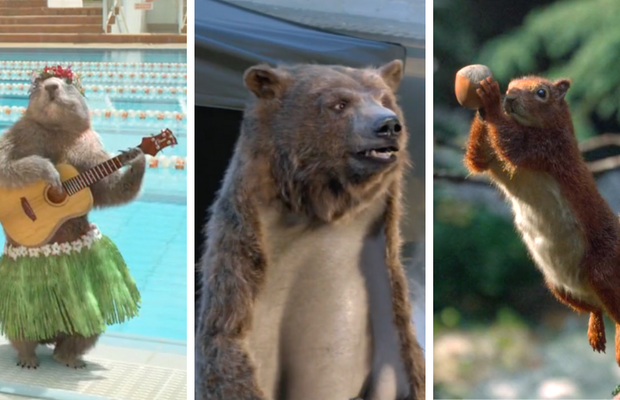 Human Nature: Imagining Musical Marmots, A Bearskin Rug Director and Slam Dunking Squirrels