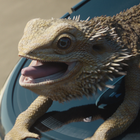 Director Tomas Jonsgården and Ponder Bring Three Ireland’s Jeff the Bearded Dragon to Life