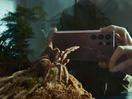 A Little Spider Finds True Love in Samsung Galaxy S22 Ultra Ad