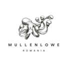 MullenLowe Romania