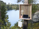 European Green Capital Lahti Takes Remote Working to the Woods with Nature Inspired Workstations 