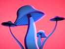 Andrew Khosravani Fuses 2D and 3D for Moon Panda’s Dreamy Video ‘Cloud Watching’ 