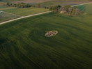 OREO's Crop Circles Offer Peaceful Welcome to Extraterrestrial Life 