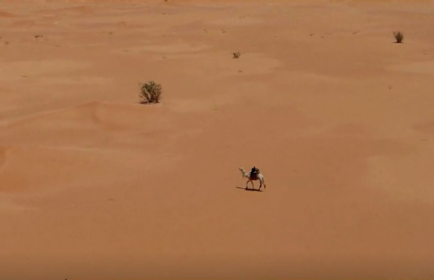 Behind the Work: Meet Sarha, the Camel-Turned-Photographer 