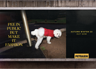 Petbarn Makes Every Pet Moment Glamourous with AW 22 Collection