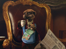 The Meerkats Lend a Helping Hand in Compare the Market Spots 