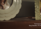 Aerogard Home Celebrates Dearly Departed Bugs with 'In Memoriam' Film from Host/Havas Sydney