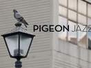 Standard Bank Pigeon Jazz in The City