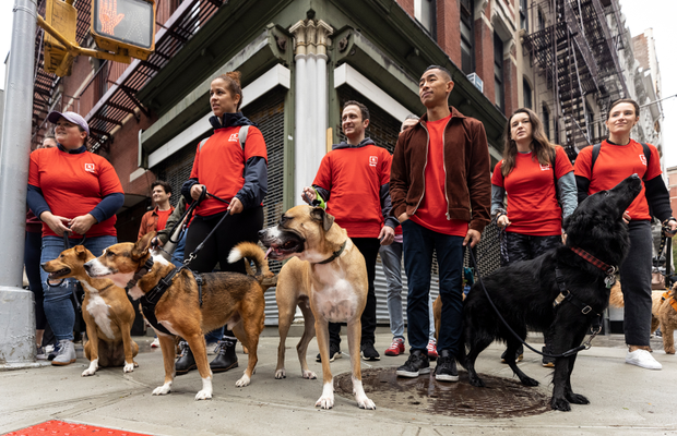 Droga5 New York Takes Dogs on a ‘Scent-Sory’ Experience for Petco’s Reddy