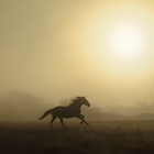 Ridley Scott's ‘Behold’ Is a Stunning Short Film Shot Entirely on the Samsung Galaxy S23 Ultra