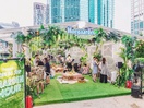 Hoegaarden Green House Provides Solace from Stress and Shanghai’s Sweltering Heat