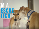Rescue Pets Are Heroes in New Badass Battersea Ad