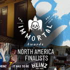 3 North American Projects Reach Immortal Awards Global Final
