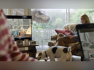 Joint Partners with Vue and Universal for Epic Dinosaur Filled Cinema Campaign