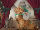 Festive Furry Friend Is the Centre of Attention in Three UK’s Christmas Spot