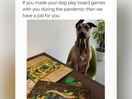 Entertainment Company Spin Master Uses Meme-Based Recruiting Campaign to Land Game Lovers for Marketing Team