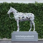 Irish Independent Are Straight Out the Starting Blocks for Galway Races Activation