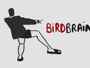 Why Birdbrain Wants You to Draw a Picture for Them