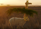Sheep Imposters Populate the Wildlife in San Diego Zoo's Light Hearted PSA