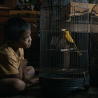 Film from Waterbear Highlights Devastating Effects of Bird Poaching 
