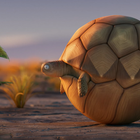 Rollin' Wild Celebrates World Turtle Day with Hypnotic Slow TV Animation