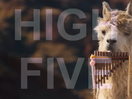 High Five: Argentina