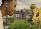 A Plant's Pain Helps a Man's Mental Health Struggle in Short Film 'Bud'