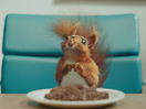 Graze Welcomes a Furry New Edition in Cheeky Fourth Wall Breaking Spot 