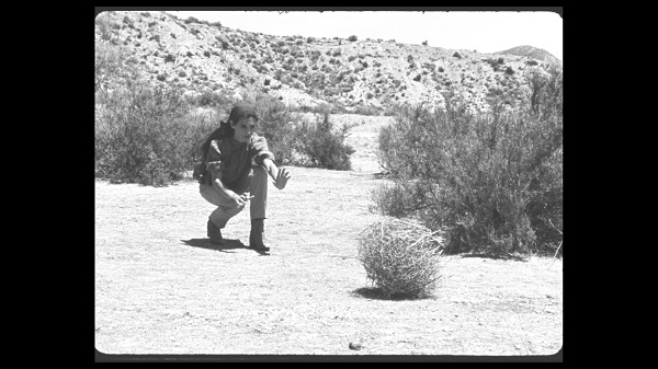 From Desert Oddity to Western Icon: The Journey of Tumbleweeds in Movies  and the Wild West, by Weal