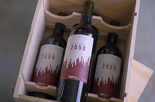 Bordeaux 2050: The Wine from The Future That Tastes Like Global Warming