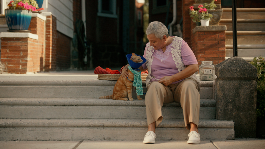 Touching PSA's from the Ad Council Help Keep Pets and People Together 