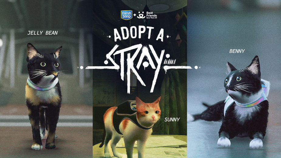 Fresh Step Launches First Ever Streaming Adoption Event to Help Cats in Need