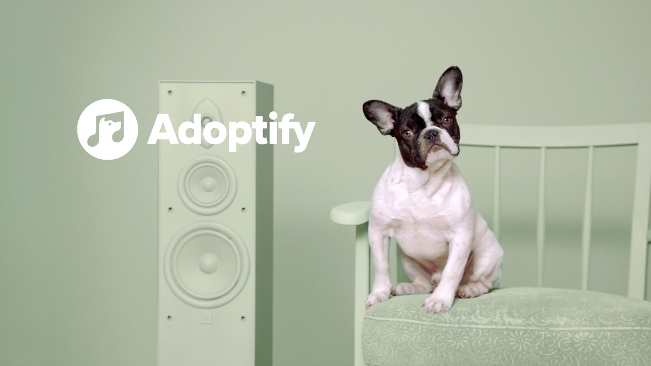 Serviceplan and Spotify Are Matching Dogs with Owners Based on Musical Tastes