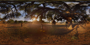 Take a VR Tour of Africa in FCB's New Campaign for Amarula Liqueur