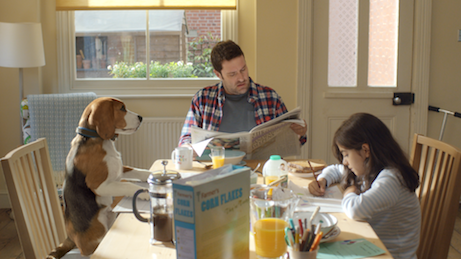 Overly Protective Talking Dog Stars in VCCP's New Beagle Street Campaign
