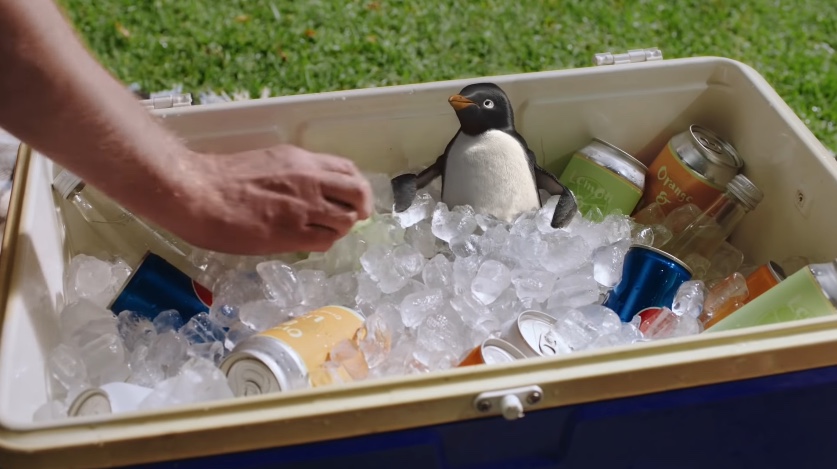 Bluebird's First Ad in 10 Years Encourages Kiwis to Free the Bird