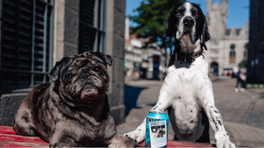 Ricky Gervais Inspires BrewDog to Help Find Dogs New Homes by Turning Beer Cans into Media Spots