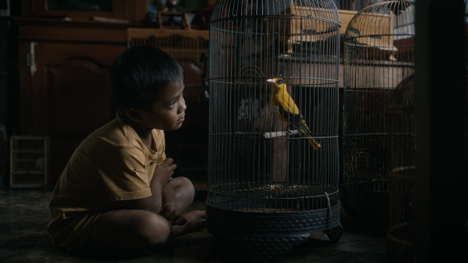 Film from Waterbear Highlights Devastating Effects of Bird Poaching 