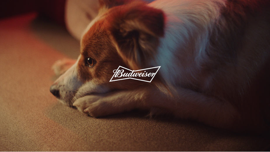 Budweiser Responds to Requests and Returns Thrones to Pets at NBA Finals