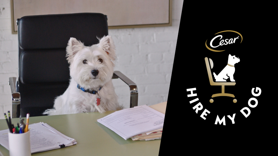 CESAR’s Canine Cuisine Commits to a More Dog Friendly World with Pet Workplaces