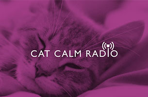 Whiskas Launches the First Ever Radio Station for Cats