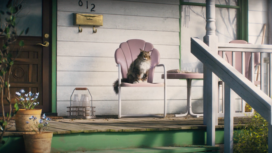 Gruff Cat Gets Emotional about Litter in Humorous Cat’s Pride Ad