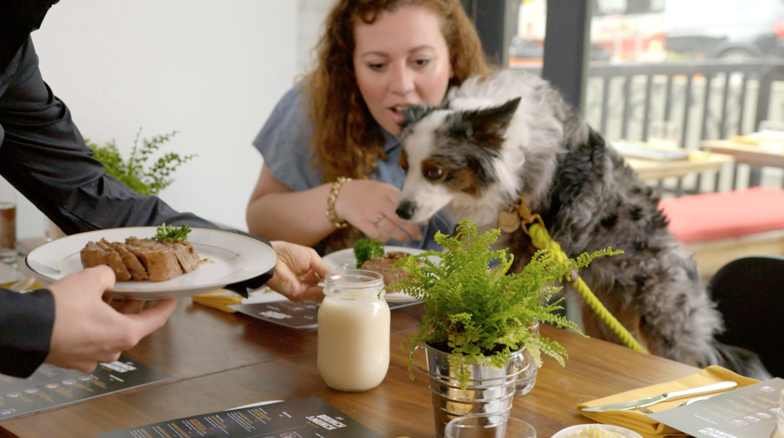 New Cesar Campaign Makes the Weekend Special for Dogs and Their Owners
